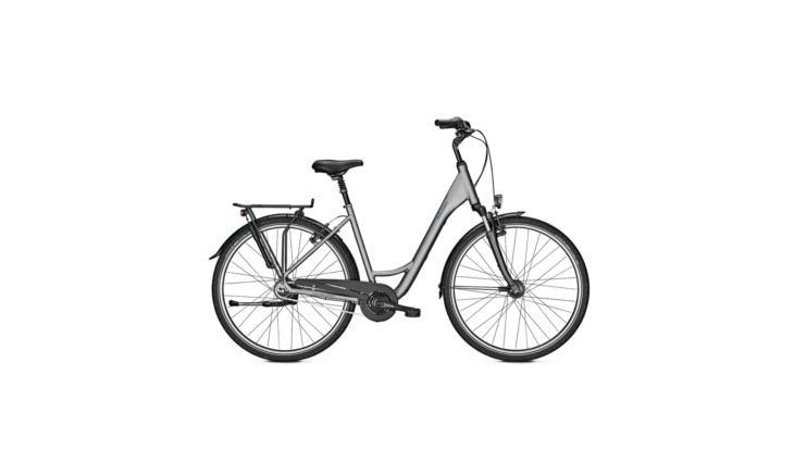 RALEIGH CHESTER 8 28" WA L55 grey
